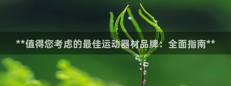 意昂体育3平台：**值得您考虑的最佳运动器材品牌：全