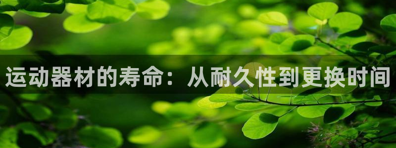 意昂体育3软件：运动器材的寿命：从耐久性到更换时间