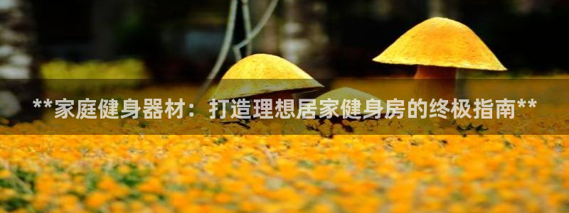 意昂体育3联系电话：**家庭健身器材：打造理想居家健