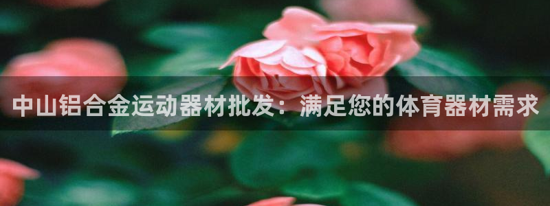 意昂体育3开户：中山铝合金运动器材批发：满足您的体育