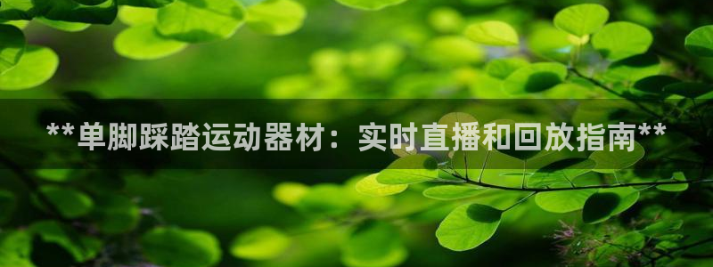 意昂3娱乐是那个系列的台子：**单脚踩踏运动器材：实