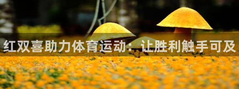 意昂体育3注册：红双喜助力体育运动：让胜利触手可及