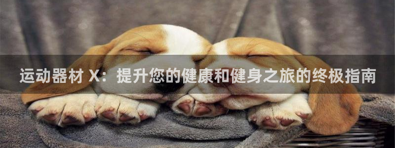 意昂3神州：运动器材 X：提升您的健康和健身之旅的终