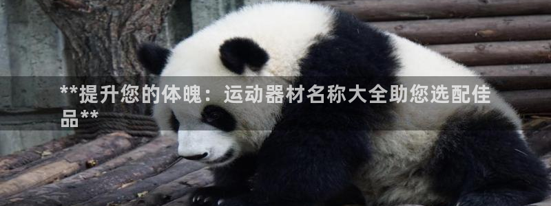 意昂3集团官网首页：**提升您的体魄：运动器材名称大