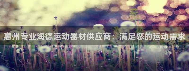 意昂3官方：惠州专业海德运动器材供应商：满足您的运动