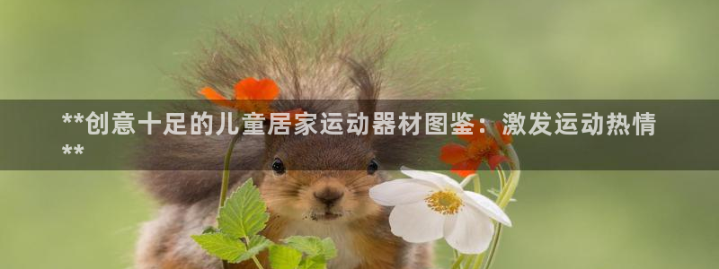 意昂体育3招商电话是多少：**创意十足的儿童居家运动