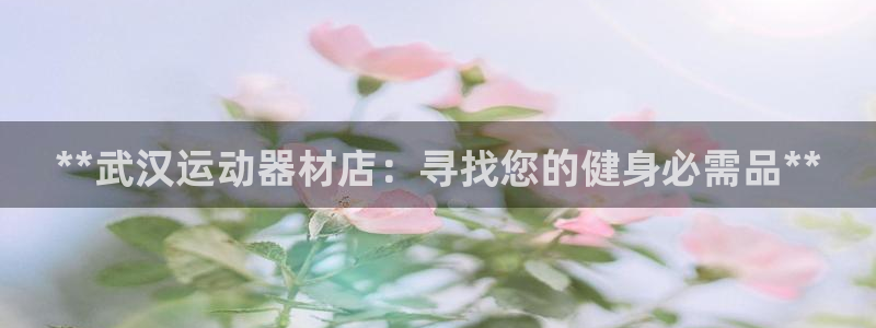 意昂体育3软件：**武汉运动器材店：寻找您的健身必需