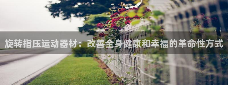 意昂3集团官网首页：旋转指压运动器材：改善全身健康和