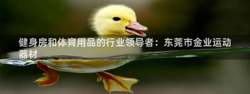 意昂体育3平台注册要钱吗是真的吗：健身房和体育用品的
