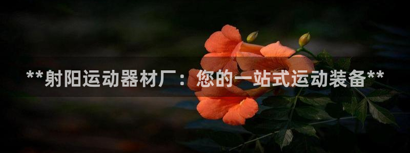意昂集团官网：**射阳运动器材厂：您的一站式运动装备