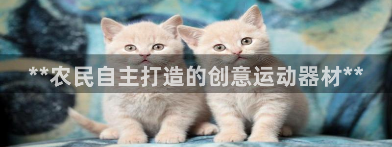 意昂3娱乐代理怎么样：**农民自主打造的创意运动器材**