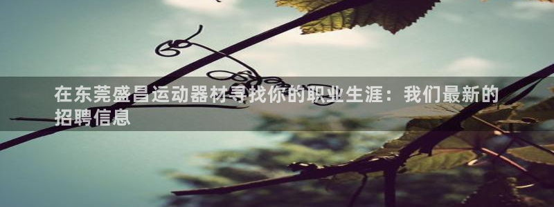 意昂体育3招商电话号码是多少啊：在东莞盛昌运动器材寻找你的职