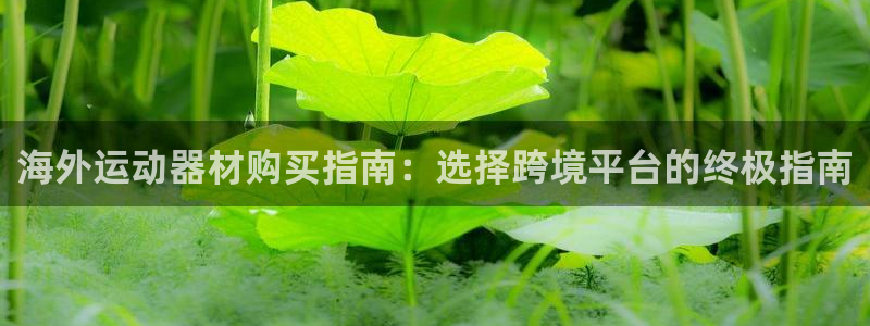 意昂3官方：海外运动器材购买指南：选择跨境平台的终极指南