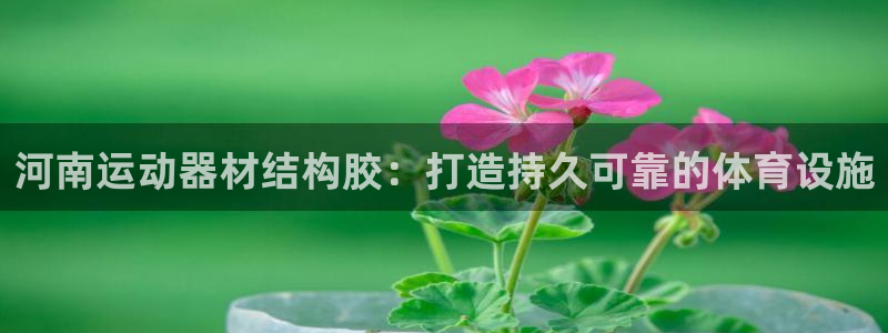 意昂3娱乐网站：河南运动器材结构胶：打造持久可靠的体育设施