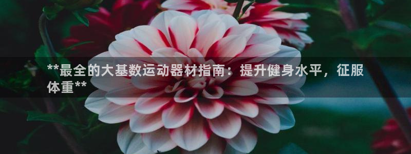 意昂体育3招商电话地址是多少：**最全的大基数运动器材指南：