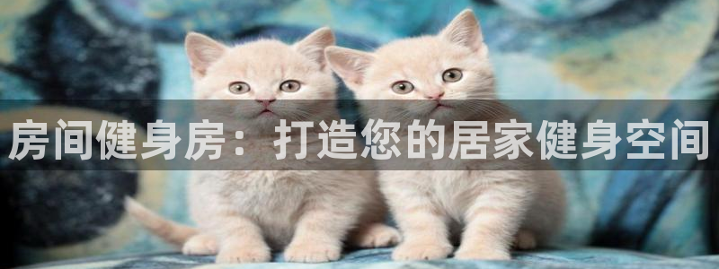 意昂体育3平台是正规平台吗：房间健身房：打造您的居家健身空间