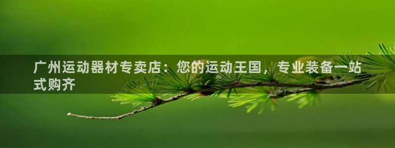 意昂体育3：广州运动器材专卖店：您的运动王国，专业装