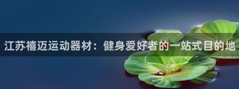 意昂3集团简介：江苏禧迈运动器材：健身爱好者的一站式