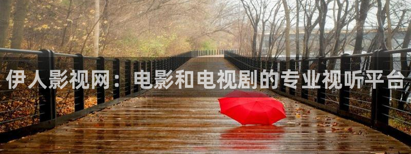 晴天影视免费下载app：伊人影视网：电影和电视剧的专业视听平台