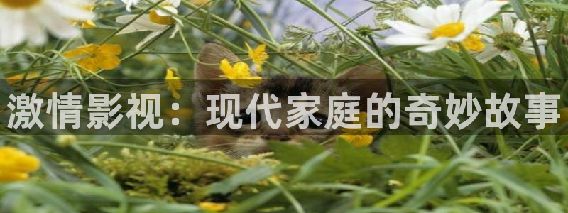 晴天影视正版：激情影视：现代家庭的奇妙故事