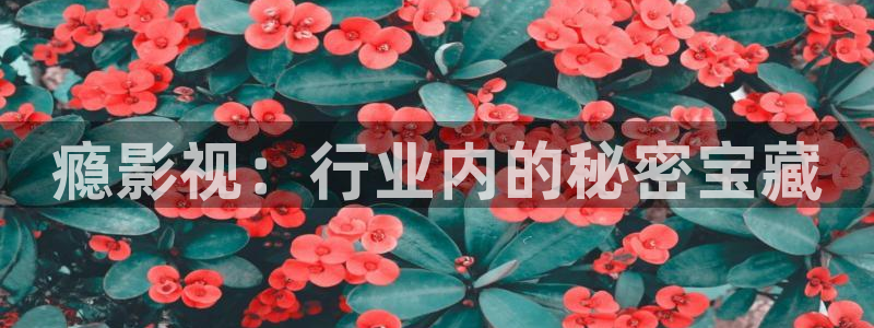 晴天影院免费观看电视剧高清：瘾影视：行业内的秘密宝藏