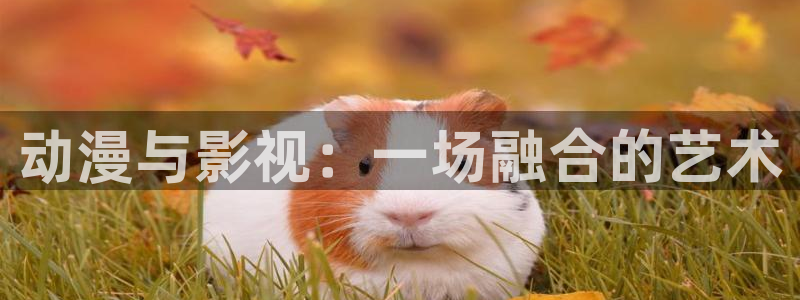 晴天影视安全下载：动漫与影视：一场融合的艺术