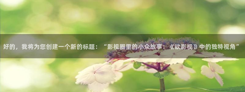 晴天影视软件：好的，我将为您创建一个新的标题：“影视圈里的小众故事：《欲影视》中的独特视角”