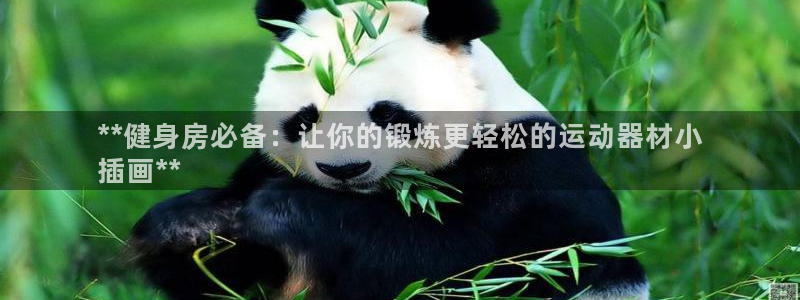 意昂3集团：**健身房必备：让你的锻炼更轻松的运动器