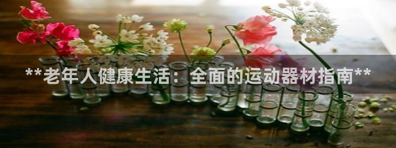 意昂体育3平台注册：**老年人健康生活：全面的运动器