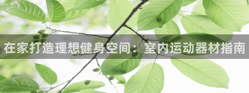 意昂3集团官网首页网址：在家打造理想健身空间：室内运