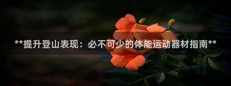 意昂3集团logo：**提升登山表现：必不可少的体能