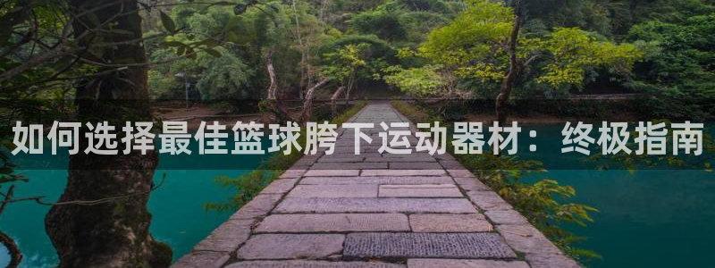 意昂体育3招商电话号码：如何选择最佳篮球胯下运动器材