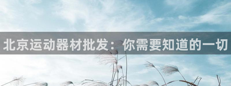 意昂体育3招商：北京运动器材批发：你需要知道的一切