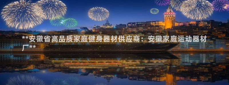 意昂3新能源：**安徽省高品质家庭健身器材供应商：安