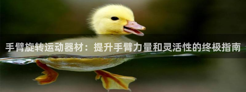 意昂体育3平台注册：手臂旋转运动器材：提升手臂力量和