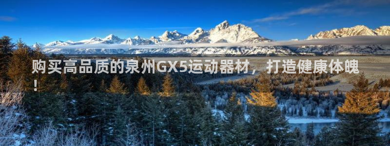 意昂3开户：购买高品质的泉州GX5运动器材，打造健康