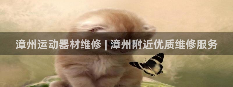 意昂3娱乐代理怎么样：漳州运动器材维修 | 漳州附近