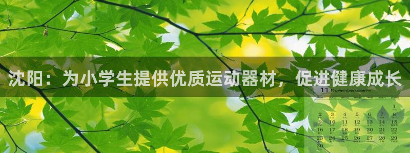 意昂3集团官网首页：沈阳：为小学生提供优质运动器材，