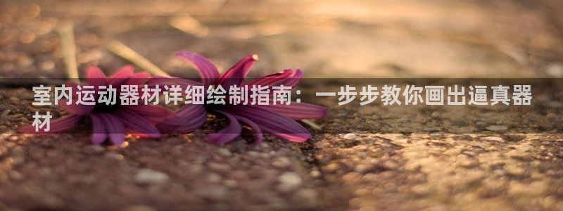 意昂体育3平台注册流程图：室内运动器材详细绘制指南：