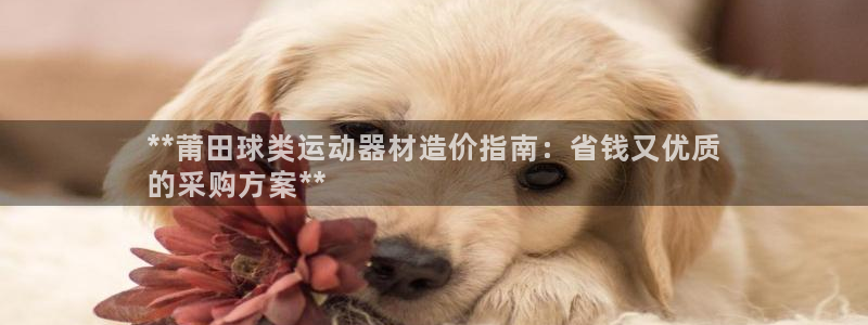 意昂3娱乐网站：**莆田球类运动器材造价指南：省钱又