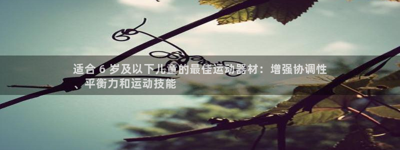意昂体育3娱乐：适合 6 岁及以下儿童的最佳运动器材