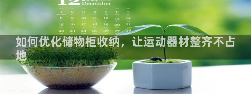 意昂体育3官方客服电话：如何优化储物柜收纳，让运动器