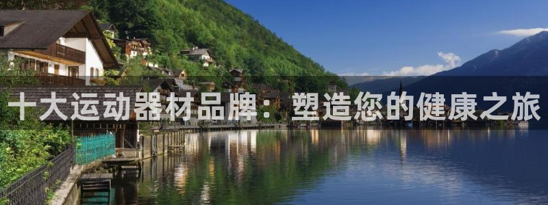 意昂体育3：十大运动器材品牌：塑造您的健康之旅