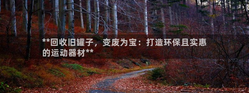 意昂3集团：**回收旧罐子，变废为宝：打造环保且实惠