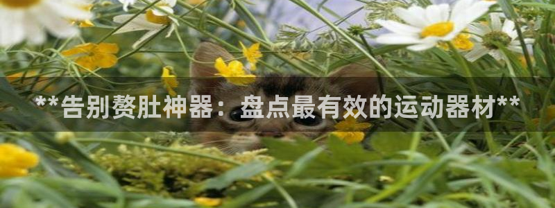 意昂体育3官方客服电话：**告别赘肚神器：盘点最有效