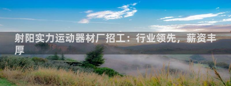 意昂体育3平台是正规平台吗安全吗：射阳实力运动器材厂