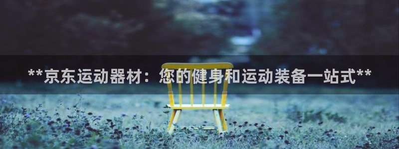 意昂3集团：**京东运动器材：您的健身和运动装备一站