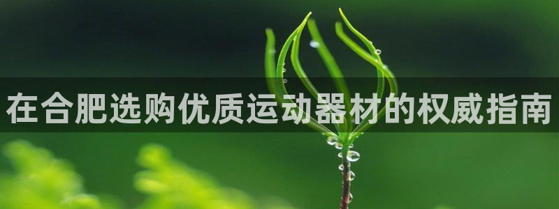 意昂体育3平台注册要钱吗安全吗：在合肥选购优质运动器