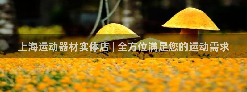 意昂3娱乐：上海运动器材实体店 | 全方位满足您的运