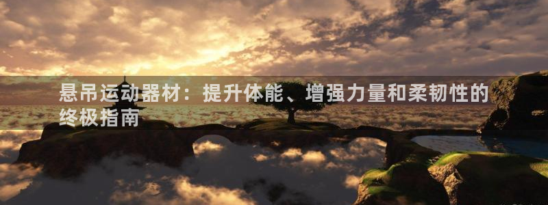 意昂体育3平台：悬吊运动器材：提升体能、增强力量和柔